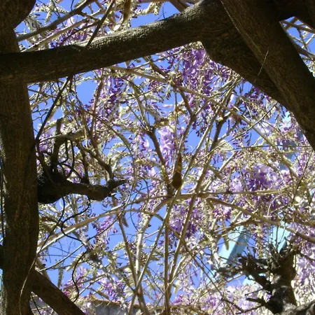 Le H De Fogadó Sernhac